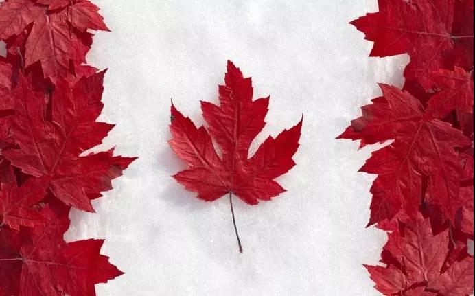 加拿大生孩子回国能上学吗