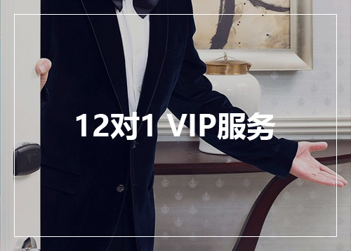 12对1 VIP服务